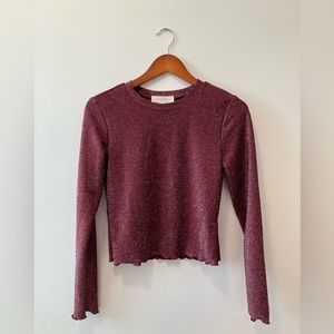 No Comment Sparkly Long Sleeve Cropped Top